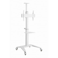 Height adjustable TV floor stand with caster wheels, 37- - 70-, Gembird -TVS-70T-02-W-, max. 70 kg, max. VESA 600 x 400, Tilt range: +5 ° ~ -12 °, Height adjustable shelf for equipment/camera, Dimensions: 772 x 648 x 2157 mm, Steel, Cable management, Whit